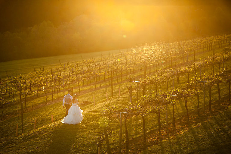 wedding day, bride and groom, vineyard, portrait