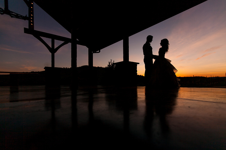 bride and groom, wedding day, silhouette, vineyard, 