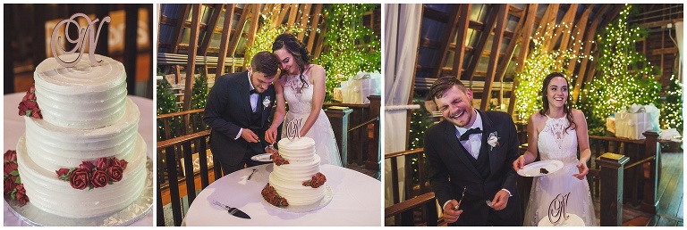 bride and groom with wedding cake