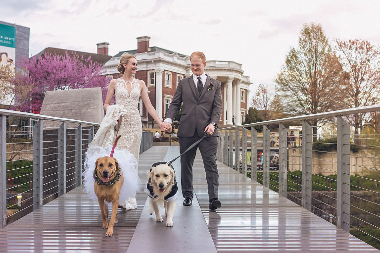 bride and groom on walking bridge with their dogs